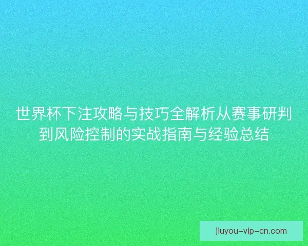 世界杯下注攻略与技巧全解析从赛事研判到风险控制的实战指南与经验总结